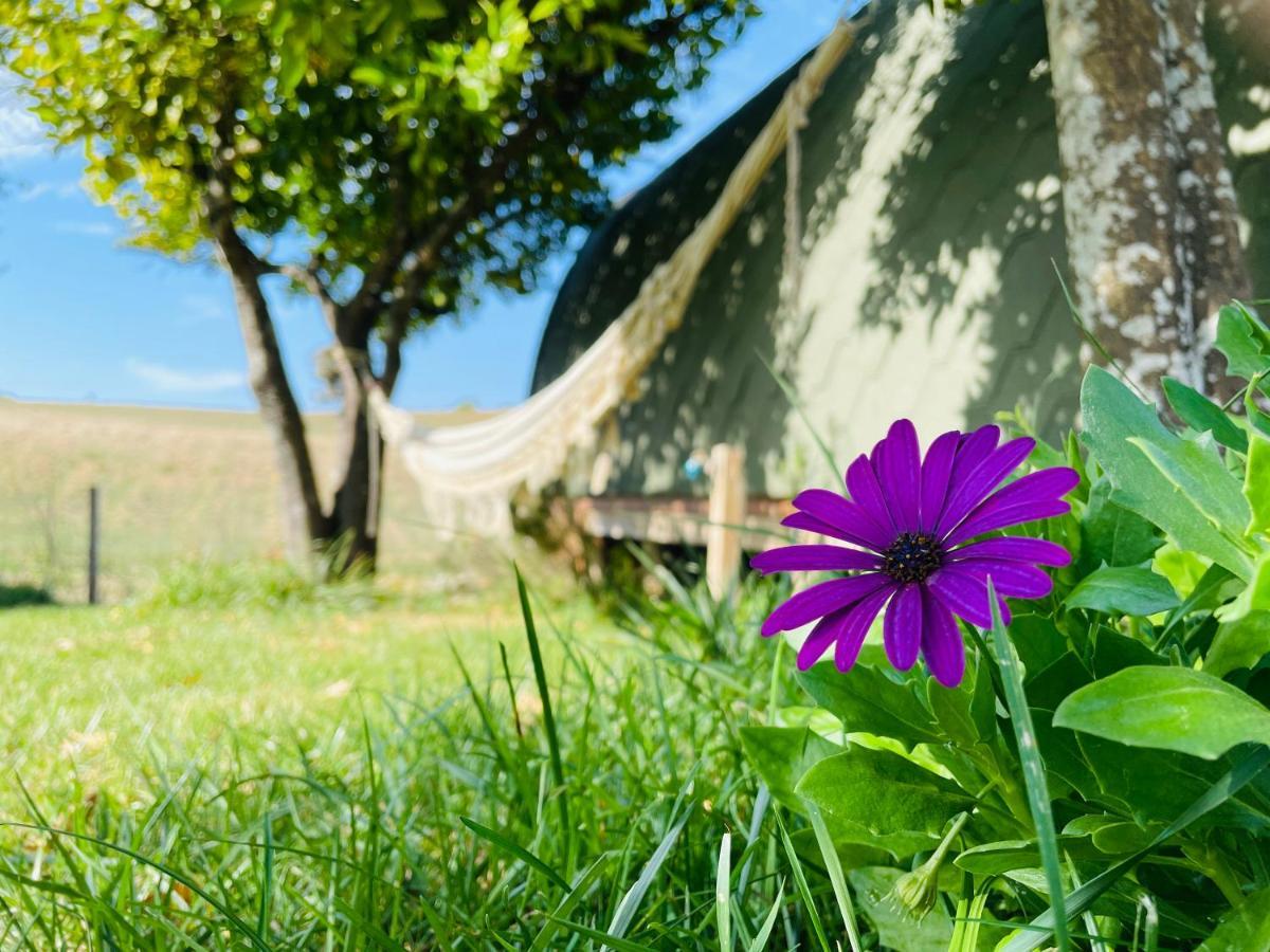 Glamping Turquesa, Feel And Relax In A Wood House Guest House Corredoura Ngoại thất bức ảnh